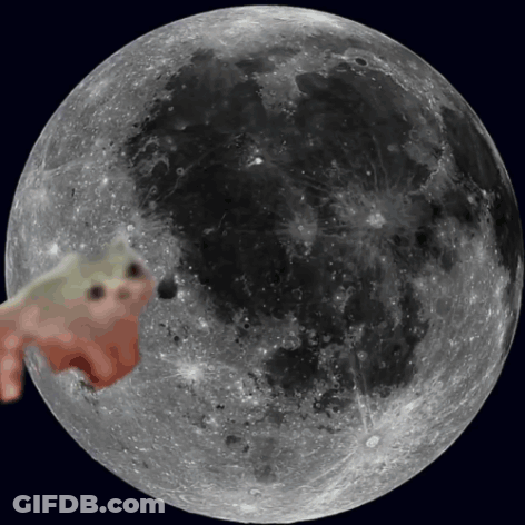Full Moon With Frog GIF