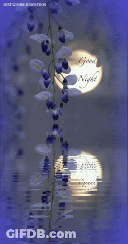 Full Moon With Good Night GIF