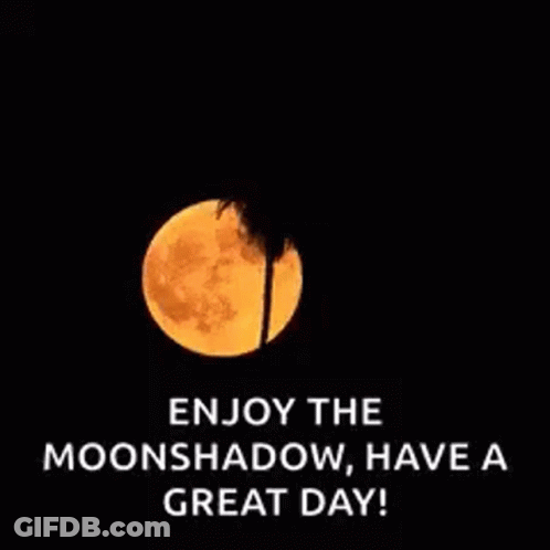 Full Moon With Palm Tree GIF