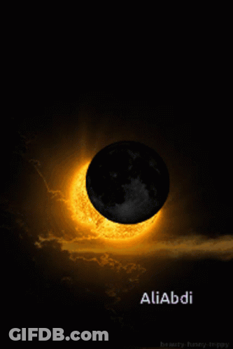 Full Moon With Purple Flowers Reflected In Water GIF