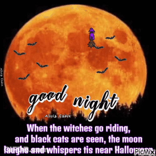 Full Moon With Witch GIF