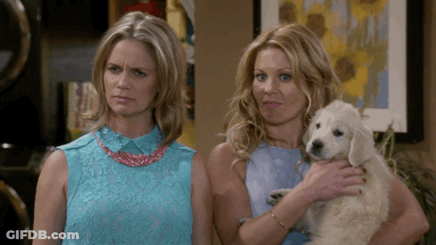 Fuller House Caressing A Dog GIF