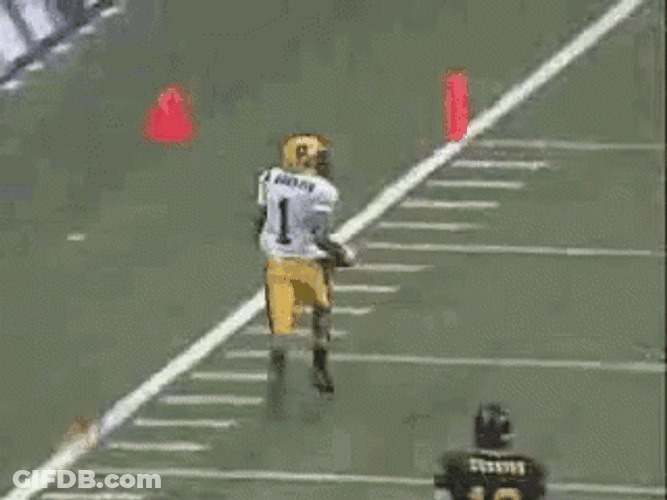 Fumble Desean Jackson Touchdown GIF