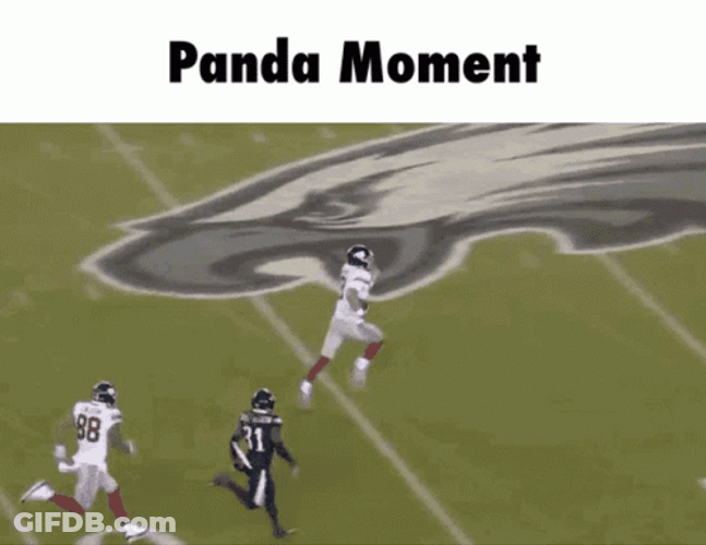 Fumble Tripping Panda Moment GIF