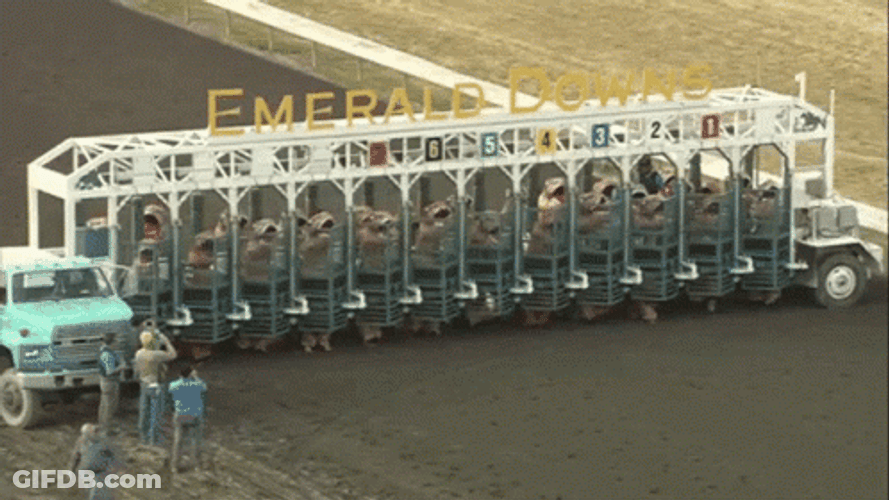 Fun Dinosaur Racing GIF