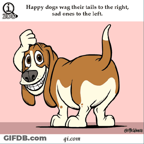 Fun Facts About Dogs GIF
