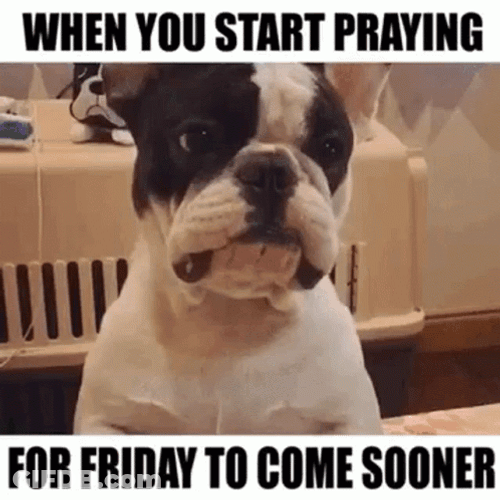 Fun Friday Come Sooner GIF