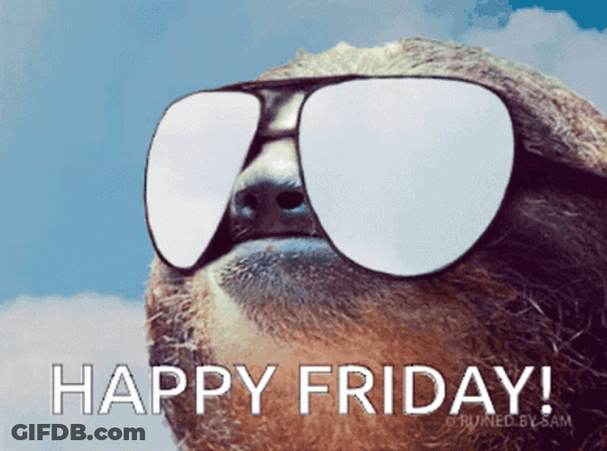 Fun Friday Cool Sloth GIF