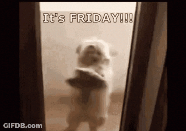 Fun Friday Dog Standing Up GIF