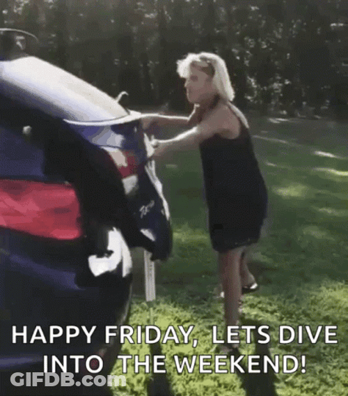 Fun Friday Dog Water Dive GIF
