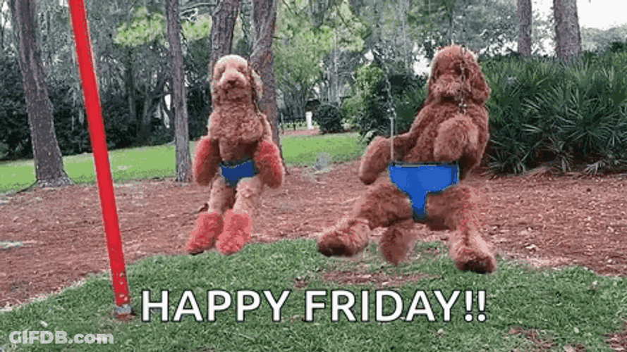 Fun Friday Dogs Swinging GIF