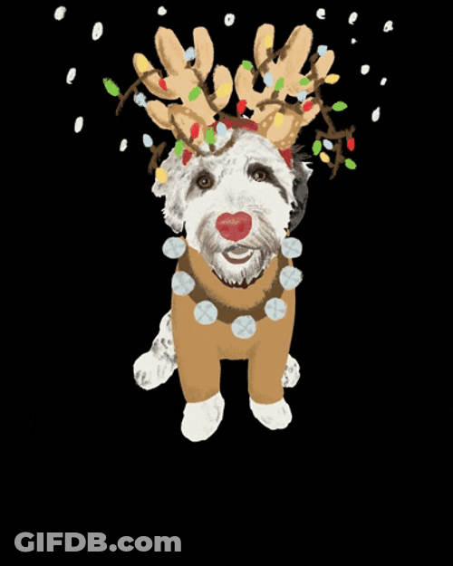 Fun Sleigh Bells Christmas Dog GIF