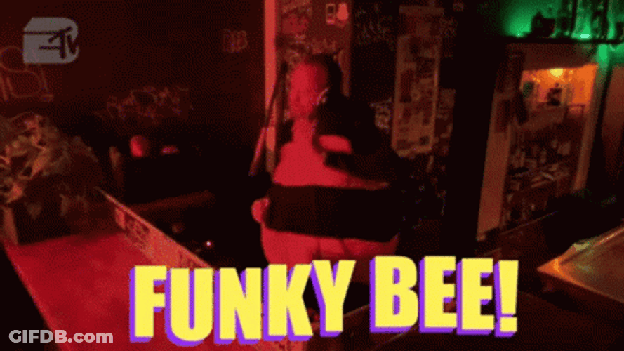 Funky Bee Meme GIF