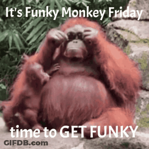 Funky Monkey Fun Friday GIF