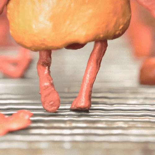 Funny 4Th Corn In Cob Getting Massage GIF