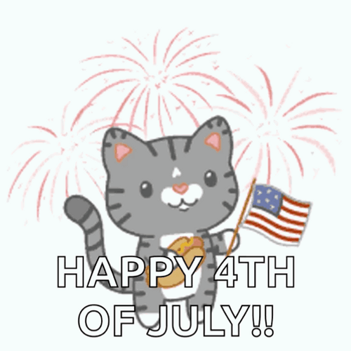 Funny 4Th Cute Cartoon Kitty Fireworks GIF