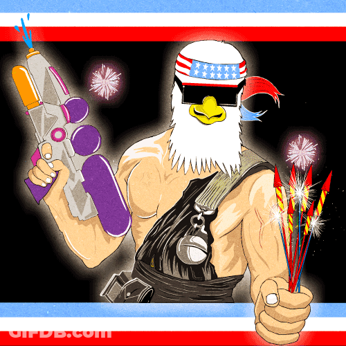 Funny 4Th Eagle Head Lighting Up Fireworks GIF