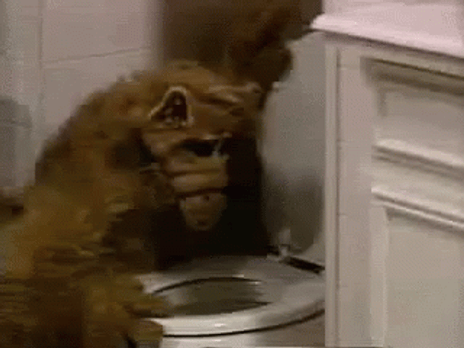 Funny Alf Looking At Toilet Bowl GIF