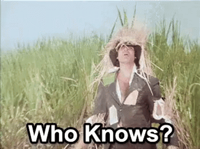 Funny Amitabh Bachan Scarecrow Who Knows GIF