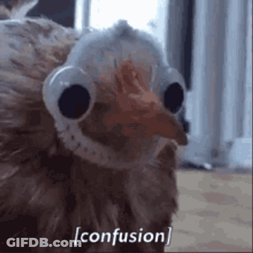 Funny And Confused Fake Turkey Face GIF