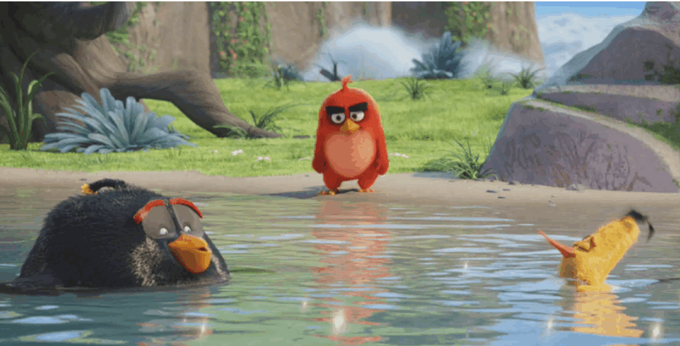 Funny Angry Birds Swamp Swimming GIF
