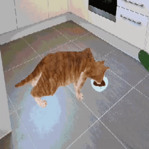 Funny Animated Eating Scared Cat GIF