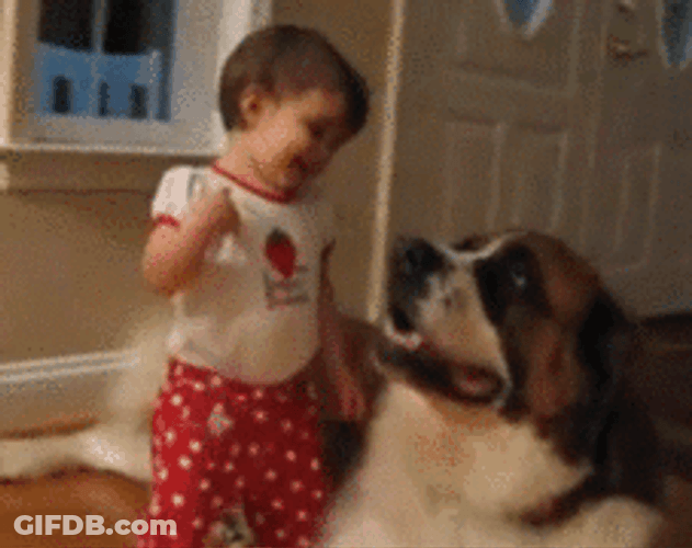 Funny Baby Hugging Big Dog GIF