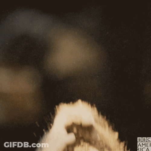 Funny Baby Monkeys Playing With Sand GIF