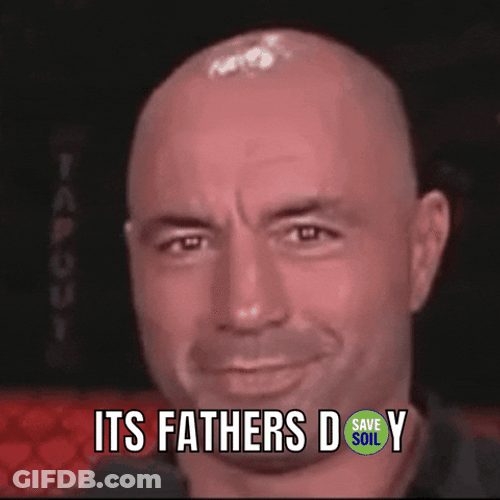 Funny Bald Guy It's Fathers Day GIF