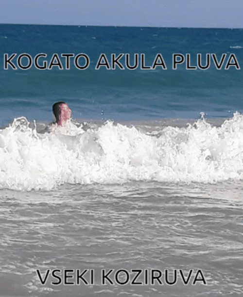 Funny Beach Man In The Shore Waves GIF