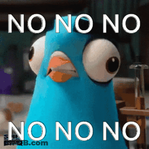 Funny Bird No GIF