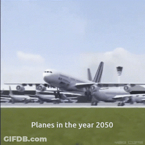 Funny Bird Plane 2050 GIF
