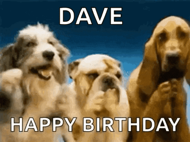 Funny Birthday Funny Happy Birthday GIF
