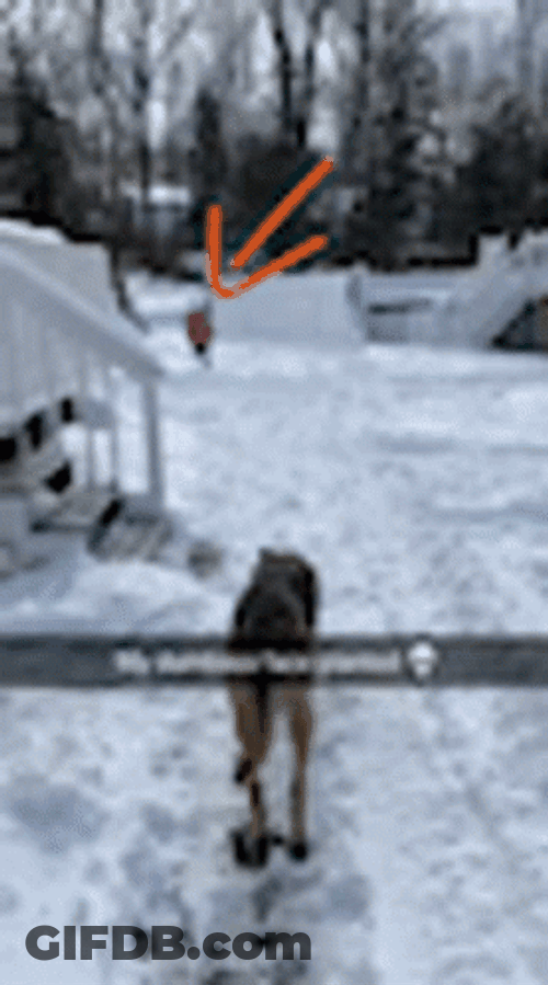 Funny Blizzard Snow Run Fail GIF