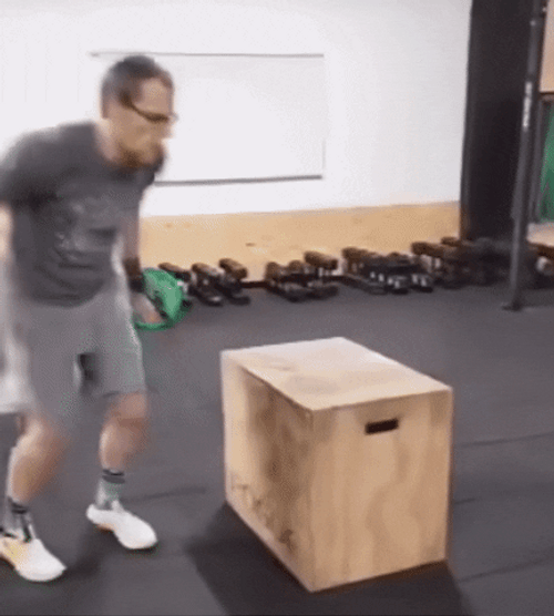 Funny Box Jumping Falling Fail GIF
