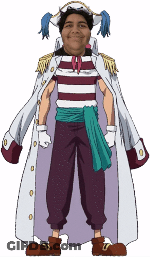 Funny Buggy One Piece Face Swap GIF