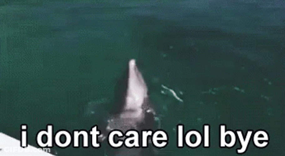 Funny Bye Dolphin Tail Walking GIF