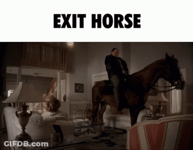 Funny Bye Guy On A Horse GIF