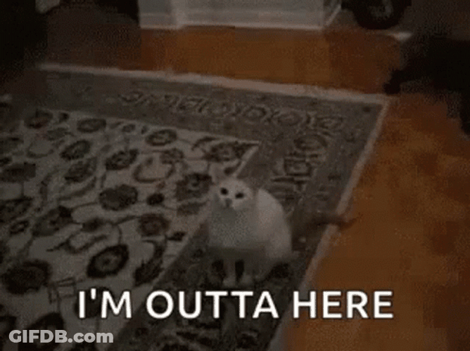 Funny Bye White Cat Jumping In Two Paws GIF