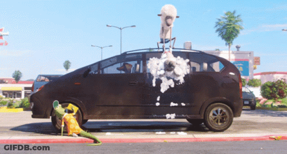 Funny Cartoon Animals Car Wash GIF