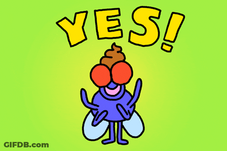 Funny Cartoon Fly Dancing GIF