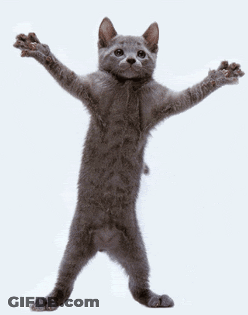Funny Cat Breakdancing GIF