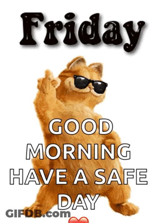 Funny Cat Dancing Friday Meme GIF