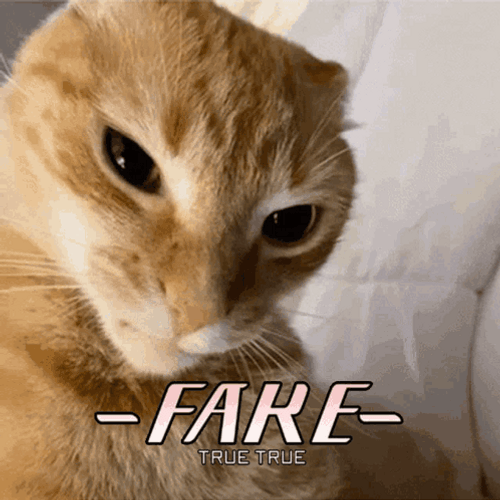Funny Cat Fake GIF
