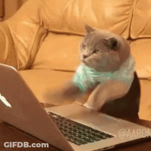 Funny Cat Fast Laptop Typing GIF