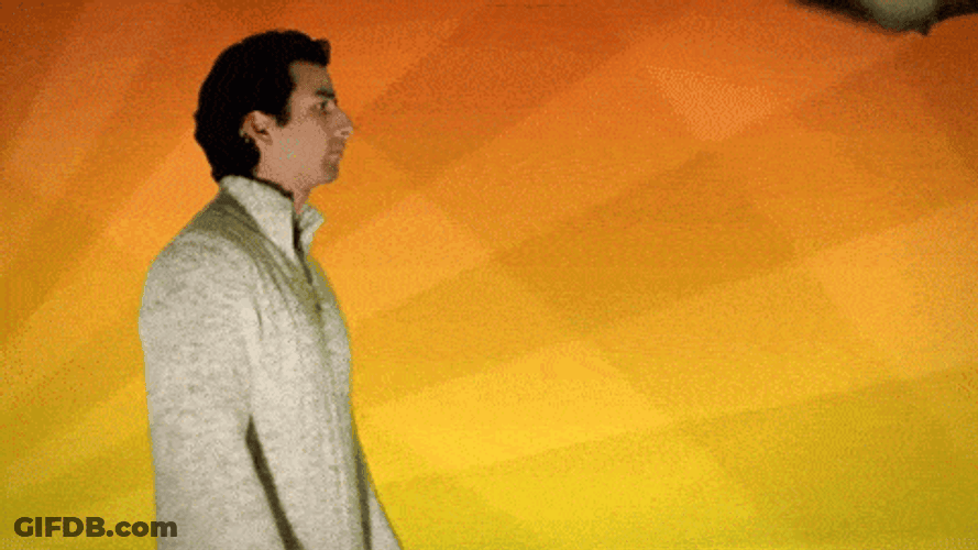 Funny Cat Fight Edit GIF