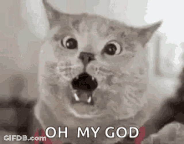 Funny Cat Freak Out GIF