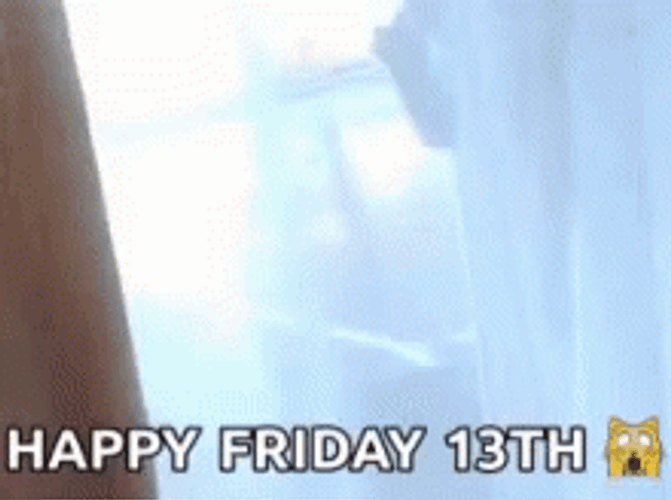 Funny Cat Happy Friday The 13Th Meme GIF