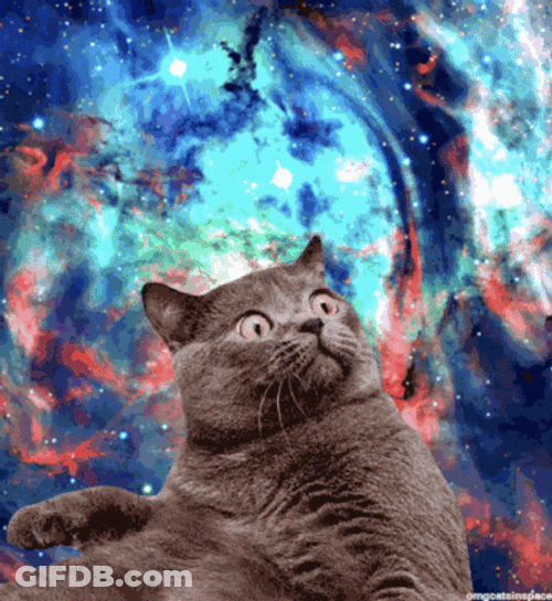 Funny Cat In Outer Space GIF