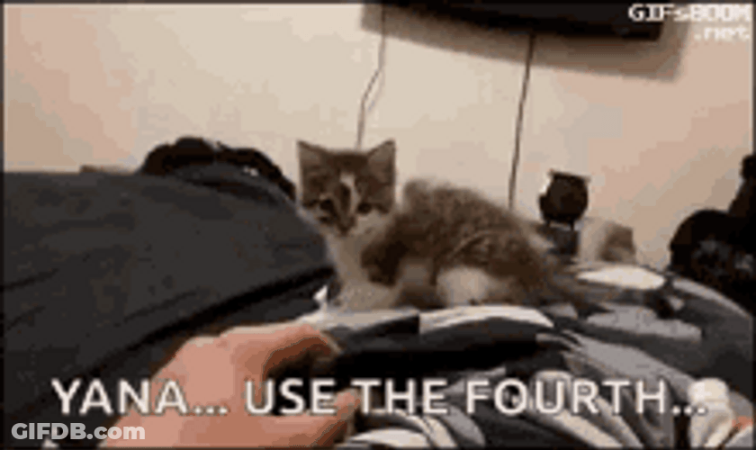 Funny Cat May The 4Th Be With You GIF